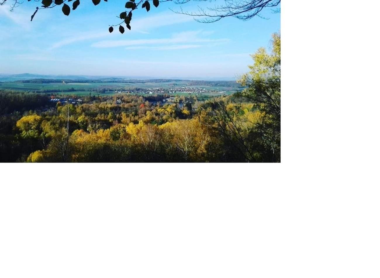 Felsberg Vintage-Zimmer Burgblick מראה חיצוני תמונה